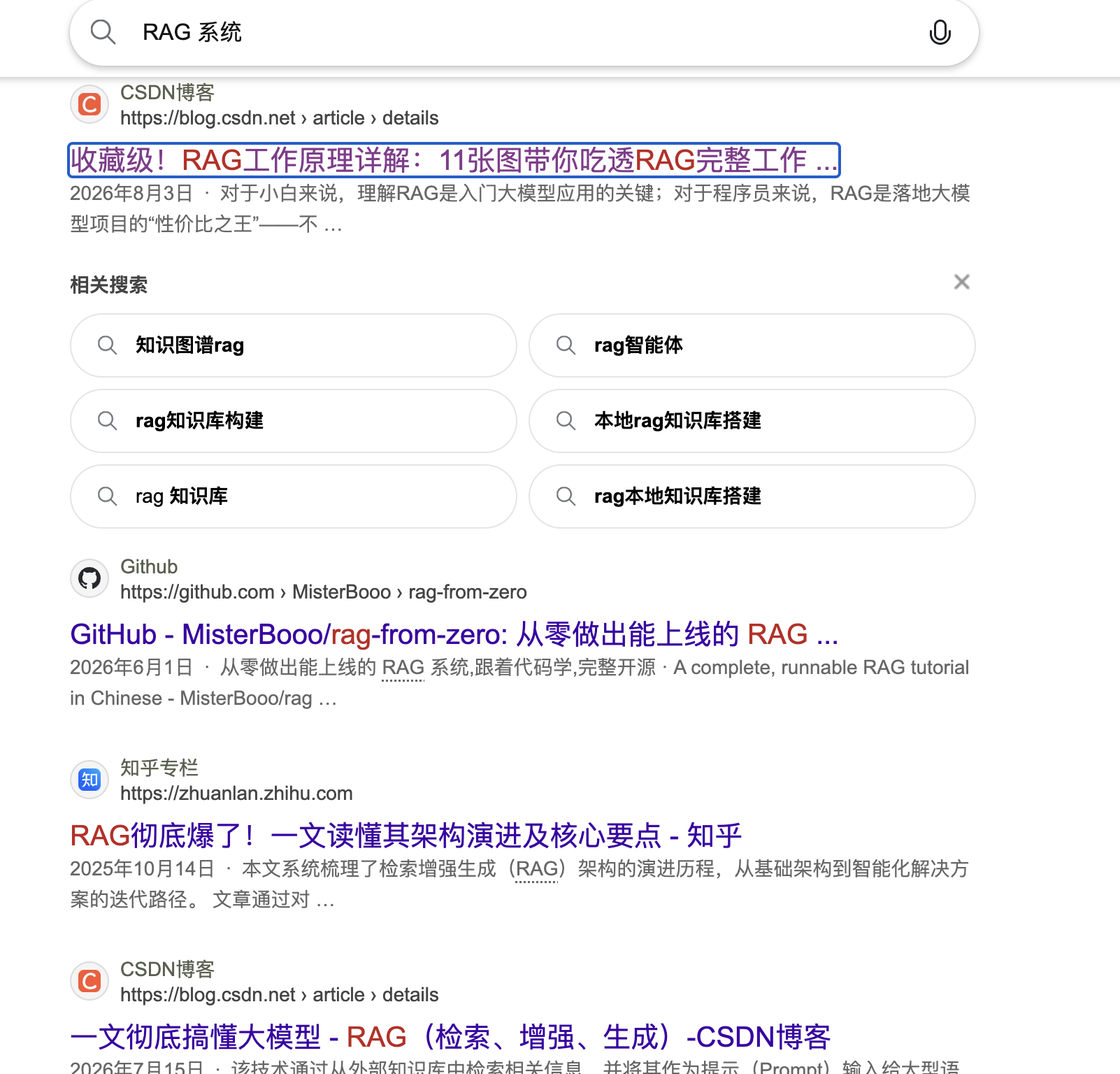 搜索 RAG 系统的结果页